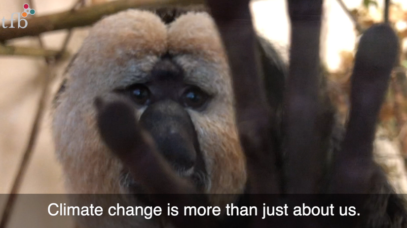 NO voice on climate change